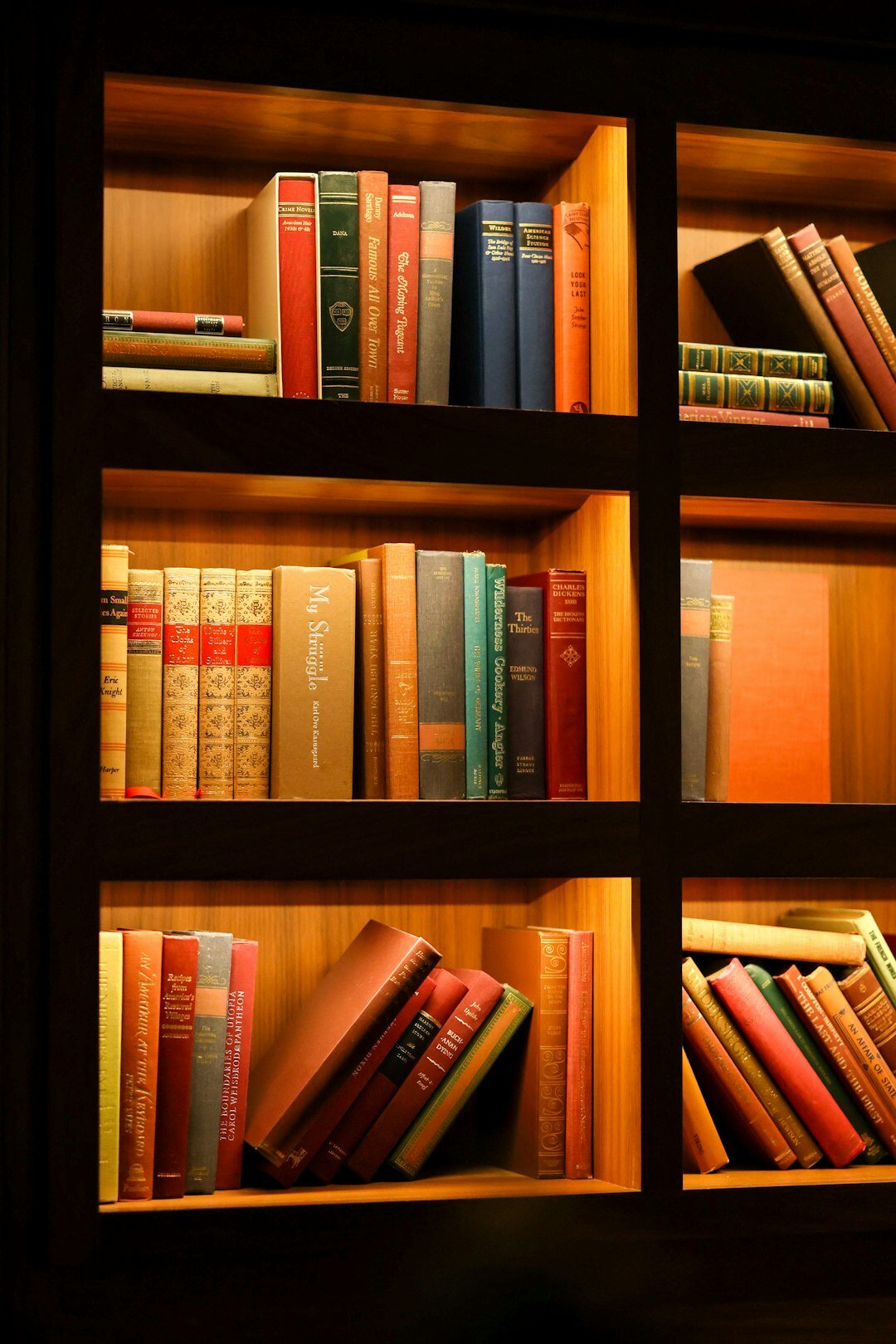 mystery books on shelf
