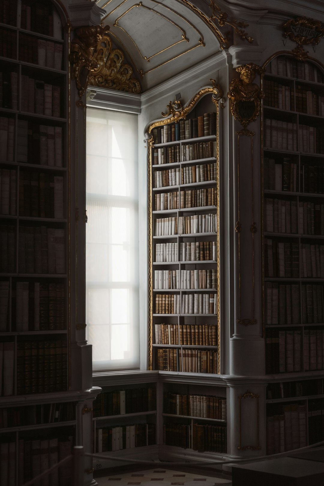Atmospheric old library interior with tall wooden bookshelves full of books